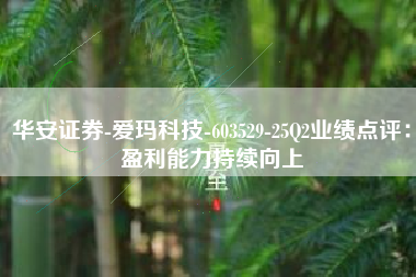 华安证券-爱玛科技-603529-25Q2业绩点评：盈利能力持续向上