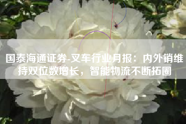 国泰海通证券-叉车行业月报：内外销维持双位数增长，智能物流不断拓圈