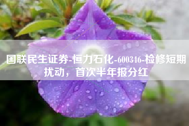 国联民生证券-恒力石化-600346-检修短期扰动，首次半年报分红