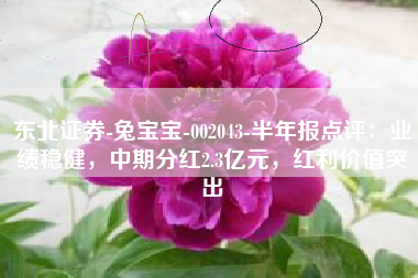 东北证券-兔宝宝-002043-半年报点评：业绩稳健，中期分红2.3亿元，红利价值突出