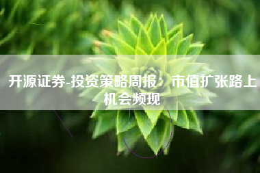 开源证券-投资策略周报：市值扩张路上机会频现