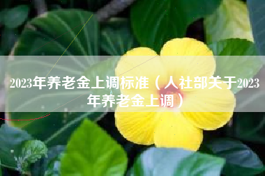 2023年养老金上调标准（人社部关于2023年养老金上调）