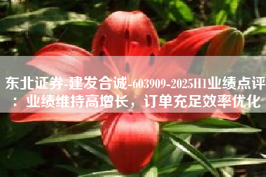 东北证券-建发合诚-603909-2025H1业绩点评：业绩维持高增长，订单充足效率优化