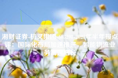 湘财证券-杭叉集团-603298-2025年半年报点评：国际化布局加速推进，智能物流业务高速增长
