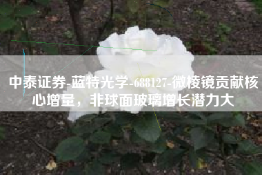 中泰证券-蓝特光学-688127-微棱镜贡献核心增量，非球面玻璃增长潜力大