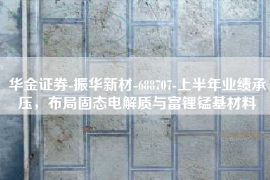 华金证券-振华新材-688707-上半年业绩承压，布局固态电解质与富锂锰基材料