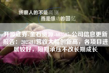 开源证券-金石资源-603505-公司信息更新报告：2025H1营收大幅创新高，各项目进展较好，短期承压不改长期成长