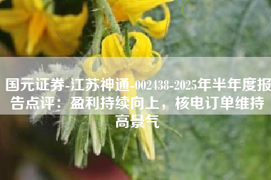 国元证券-江苏神通-002438-2025年半年度报告点评：盈利持续向上，核电订单维持高景气