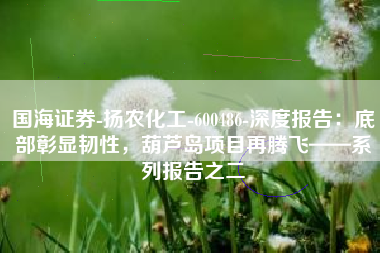 国海证券-扬农化工-600486-深度报告：底部彰显韧性，葫芦岛项目再腾飞——系列报告之二