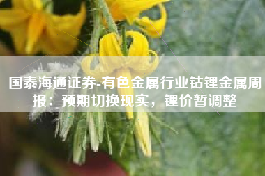 国泰海通证券-有色金属行业钴锂金属周报：预期切换现实，锂价暂调整