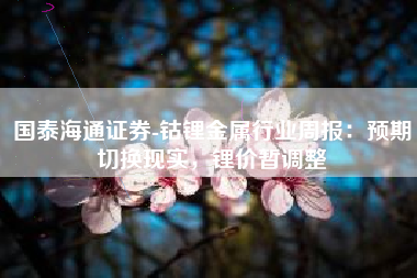 国泰海通证券-钴锂金属行业周报：预期切换现实，锂价暂调整