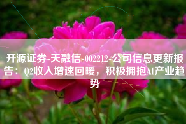 开源证券-天融信-002212-公司信息更新报告：Q2收入增速回暖，积极拥抱AI产业趋势