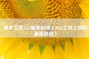 基本工资2022最新标准（2022工资上调的最新消息）