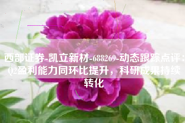 西部证券-凯立新材-688269-动态跟踪点评：Q2盈利能力同环比提升，科研成果持续转化