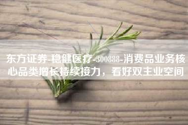 东方证券-稳健医疗-300888-消费品业务核心品类增长持续接力，看好双主业空间