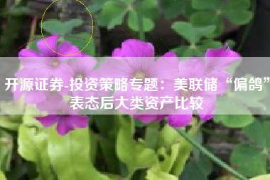开源证券-投资策略专题：美联储“偏鸽”表态后大类资产比较