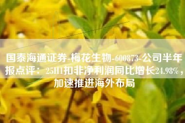国泰海通证券-梅花生物-600873-公司半年报点评：25H1扣非净利润同比增长24.98%，加速推进海外布局