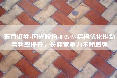 东方证券-国光股份-002749-结构优化推动毛利率提升，长期竞争力不断增强