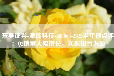 东吴证券-派能科技-688063-2025半年报点评：Q2销量大幅增长，实现扭亏为盈