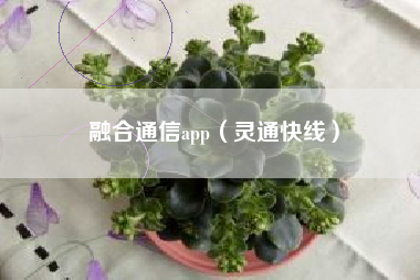 融合通信app（灵通快线）