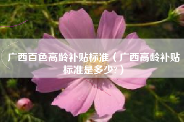广西百色高龄补贴标准（广西高龄补贴标准是多少?）