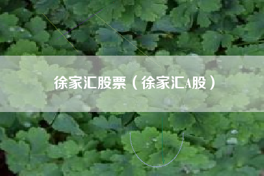 徐家汇股票（徐家汇A股）