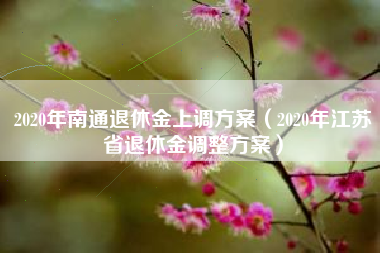 2020年南通退休金上调方案（2020年江苏省退休金调整方案）