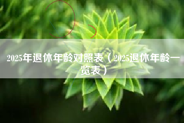 2025年退休年龄对照表（2025退休年龄一览表）