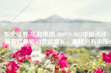 东北证券-华利集团-300979-2025中报点评：新客订单驱动营收增长，盈利仍有承压