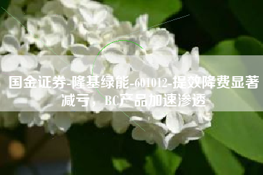 国金证券-隆基绿能-601012-提效降费显著减亏，BC产品加速渗透