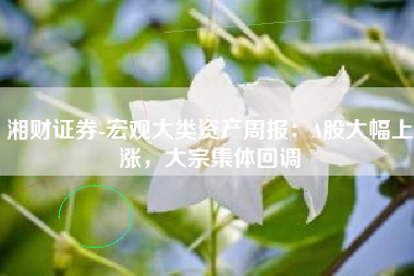 湘财证券-宏观大类资产周报：A股大幅上涨，大宗集体回调