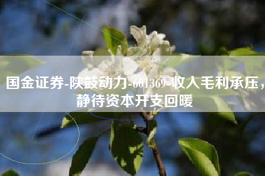 国金证券-陕鼓动力-601369-收入毛利承压，静待资本开支回暖