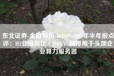 东北证券-金田股份-601609-2025年半年报点评：H1业绩同比+204%，铜排用于头部企业算力服务器