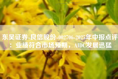 东吴证券-良信股份-002706-2025年中报点评：业绩符合市场预期，AIDC发展迅猛