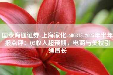 国泰海通证券-上海家化-600315-2025年半年报点评：Q2收入超预期，电商与美妆引领增长