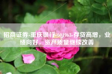 招商证券-重庆银行-601963-存贷高增，业绩向好，资产质量继续改善