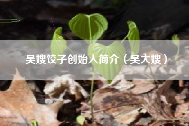 吴嫂饺子创始人简介（吴大嫂）