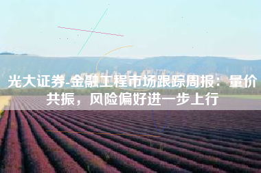 光大证券-金融工程市场跟踪周报：量价共振，风险偏好进一步上行