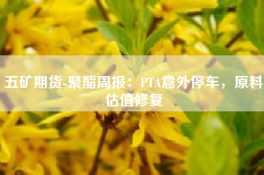 五矿期货-聚酯周报：PTA意外停车，原料估值修复