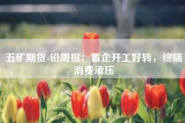 五矿期货-铅周报：蓄企开工好转，终端消费承压