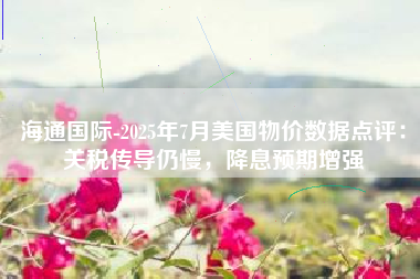 海通国际-2025年7月美国物价数据点评：关税传导仍慢，降息预期增强