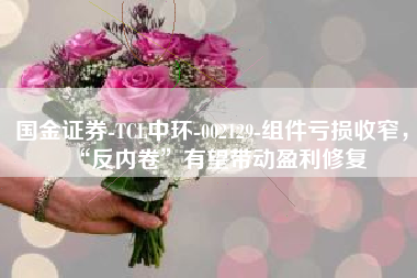 国金证券-TCL中环-002129-组件亏损收窄，“反内卷”有望带动盈利修复