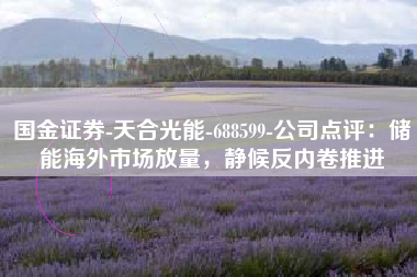 国金证券-天合光能-688599-公司点评：储能海外市场放量，静候反内卷推进