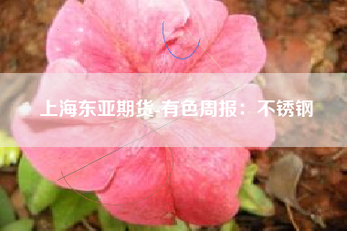 上海东亚期货-有色周报：不锈钢