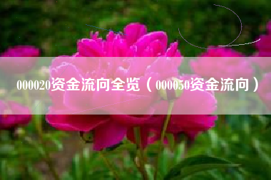 000020资金流向全览（000050资金流向）