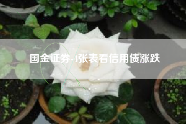 国金证券-4张表看信用债涨跌