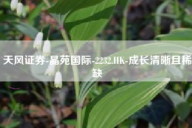天风证券-晶苑国际-2232.HK-成长清晰且稀缺