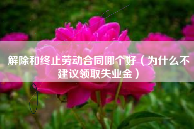 解除和终止劳动合同哪个好（为什么不建议领取失业金）