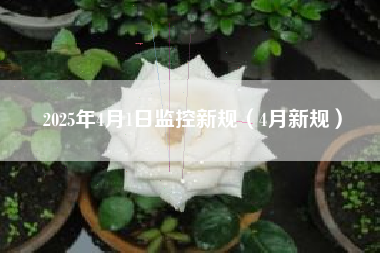 2025年4月1日监控新规（4月新规）