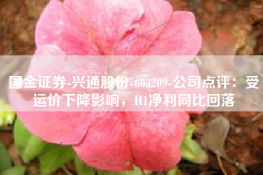 国金证券-兴通股份-603209-公司点评：受运价下降影响，H1净利同比回落